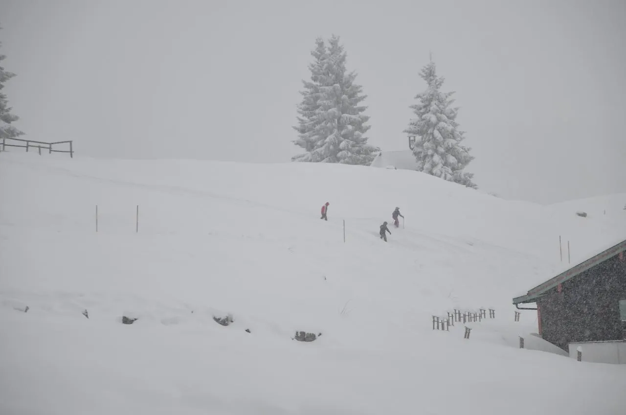 Winklmoos Sonnenalm Hotell Reit im Winkl